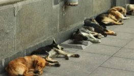 AdobeStock_171298799-768x512