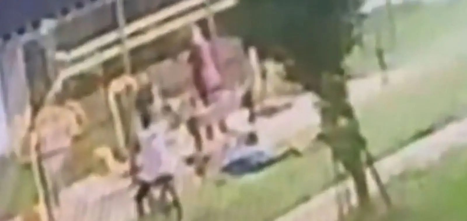 WhatsApp Image 2025-12-03 at 11.50.31 (1)