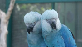 Foto - Agência Brasil