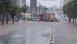 WhatsApp Image 2025-12-06 at 16.42.47