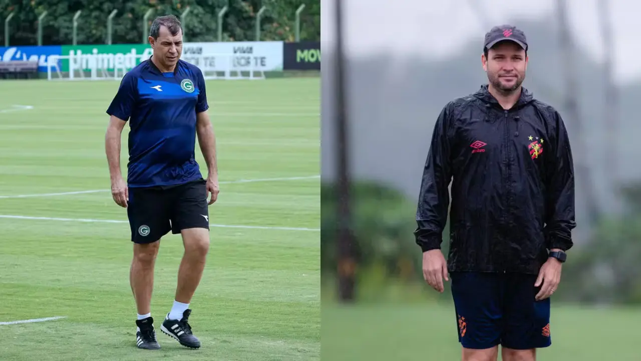 modelo de arte para site