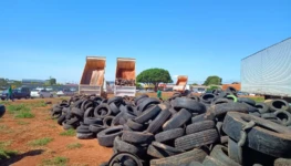 WhatsApp Image 2025-12-09 at 07.46.15