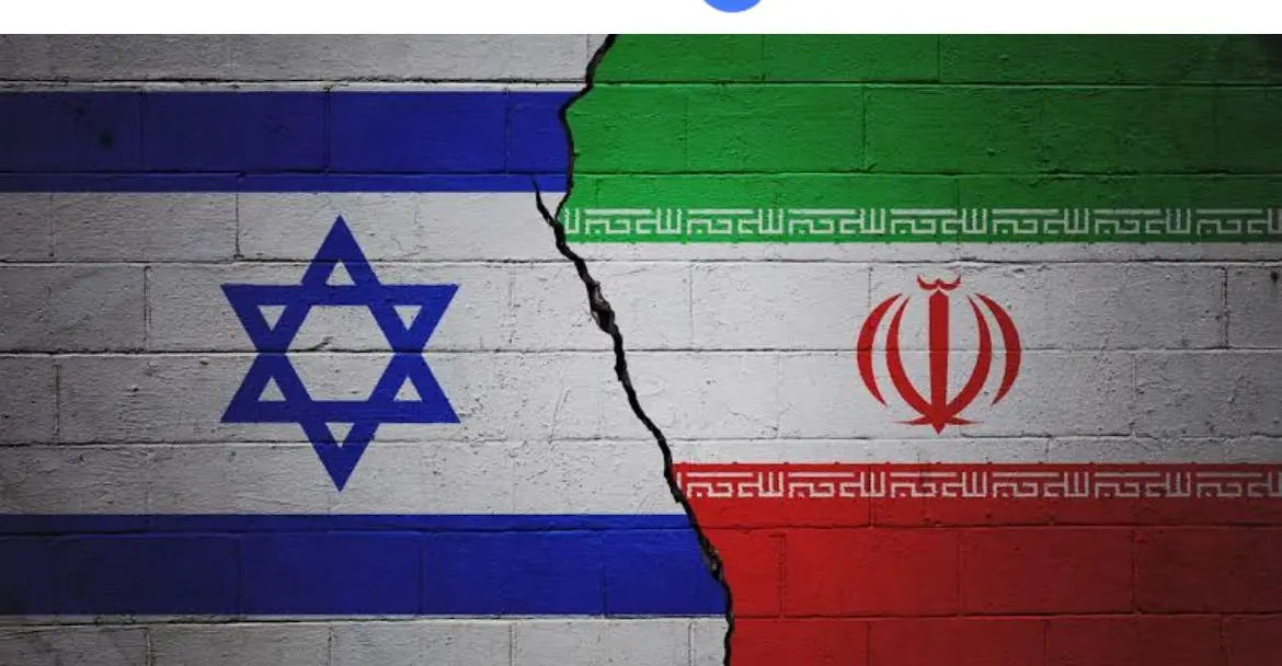 WhatsApp Image 2025-12-12 at 15.56.19