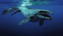 mosasaurus3_8967