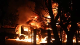 WhatsApp Image 2025-12-18 at 01.56.25