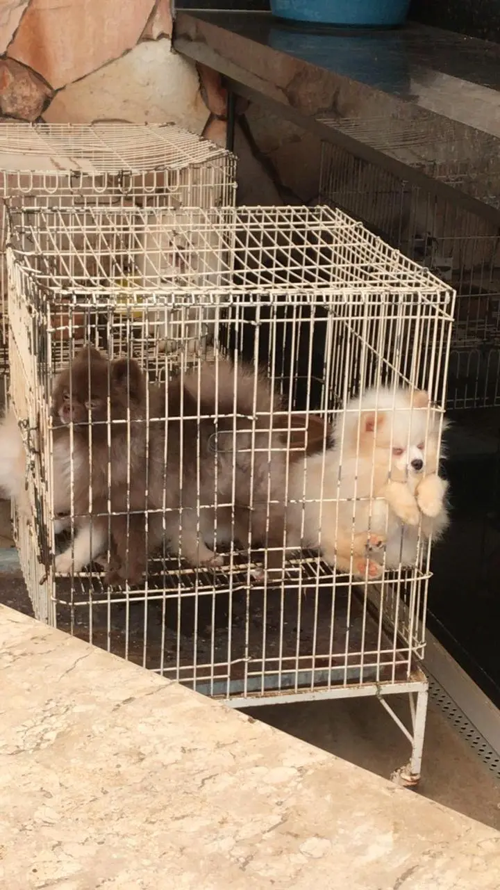 WhatsApp Image 2025-12-17 at 17.25.33