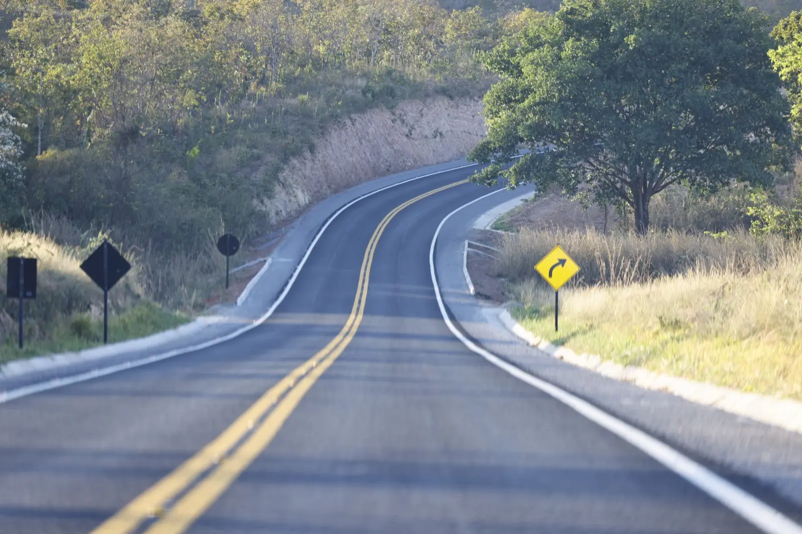 WhatsApp Image 2025-12-19 at 10.01.59