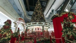 3574760a-natal-das-renas-flamboyant2024_by_nelsonpacheco_02351