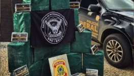 WhatsApp Image 2025-12-20 at 09.57.41