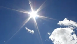 WhatsApp-Image-2023-08-15-at-10.42.52