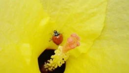 WhatsApp Image 2025-12-18 at 17.17.38