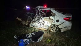 WhatsApp Image 2025-12-22 at 07.44.06