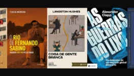 Cinco livros Regina Dalcastagnè e outros