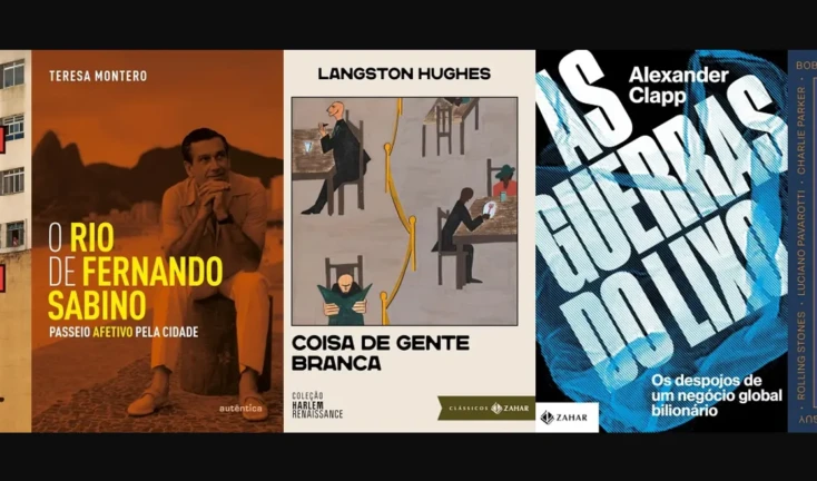 Cinco livros Regina Dalcastagnè e outros