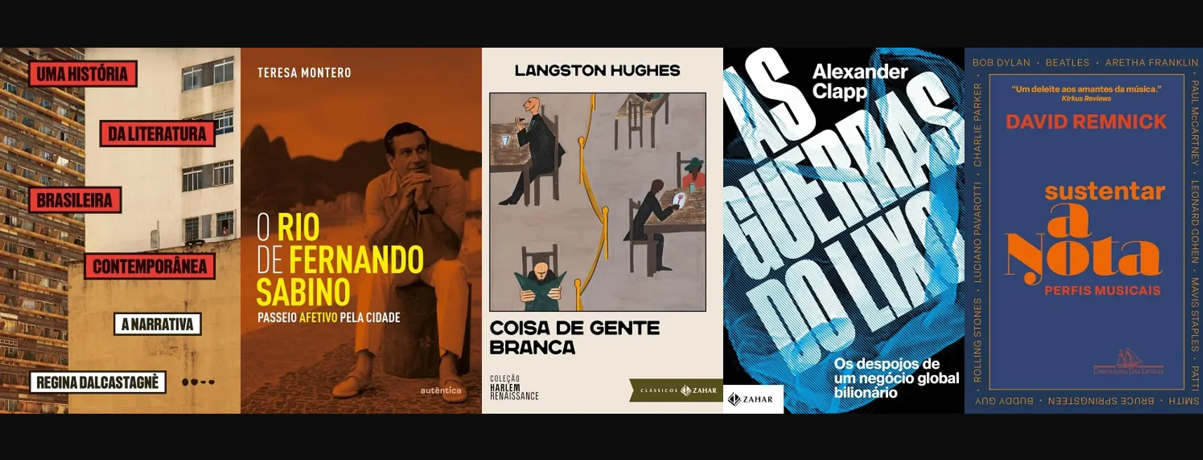 Cinco livros Regina Dalcastagnè e outros