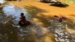 WhatsApp Image 2025-12-27 at 13.37.29