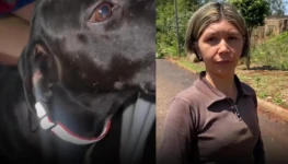 WhatsApp Image 2025-12-29 at 17.58.37