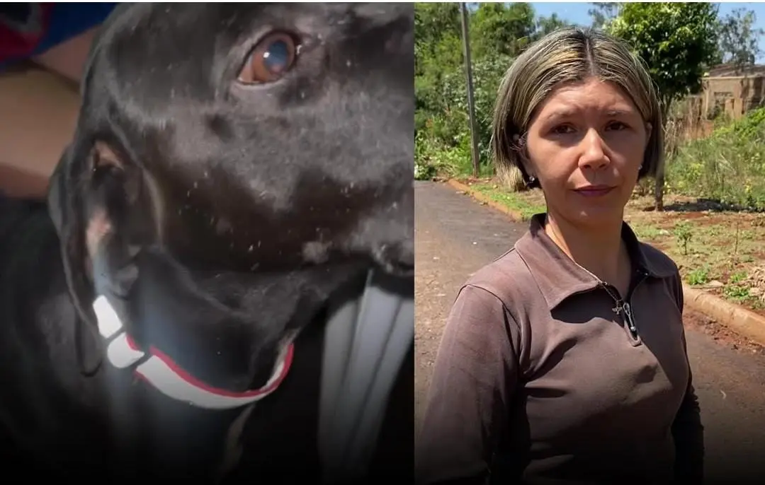 WhatsApp Image 2025-12-29 at 17.58.37