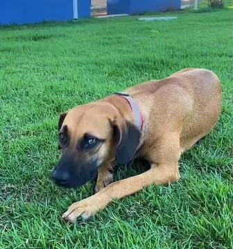 WhatsApp Image 2025-12-29 at 17.54.18