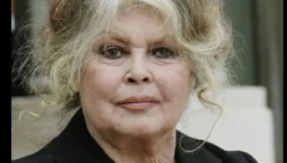 WhatsApp Image 2025-12-30 at 19.29.04