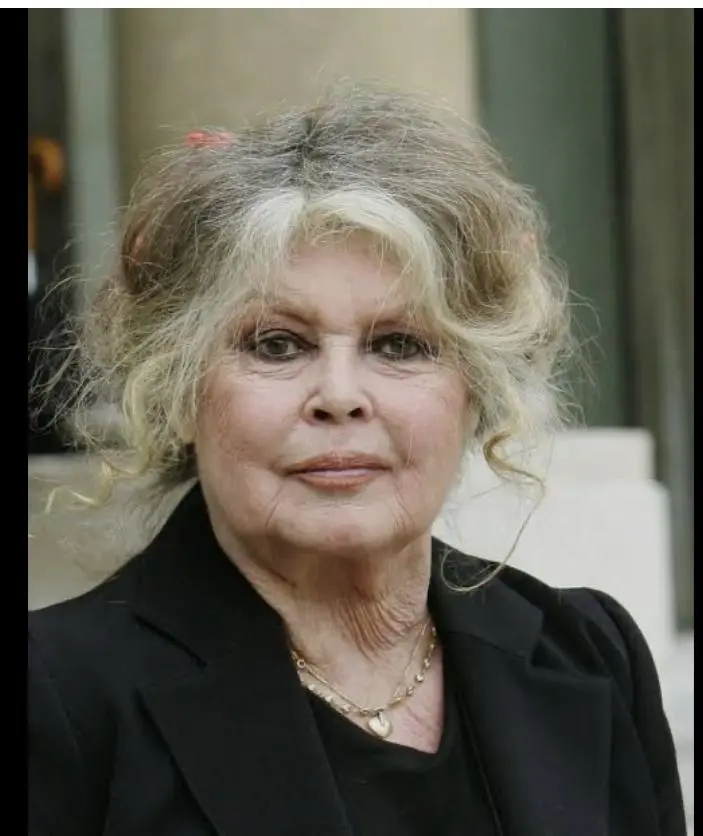 WhatsApp Image 2025-12-30 at 19.29.04