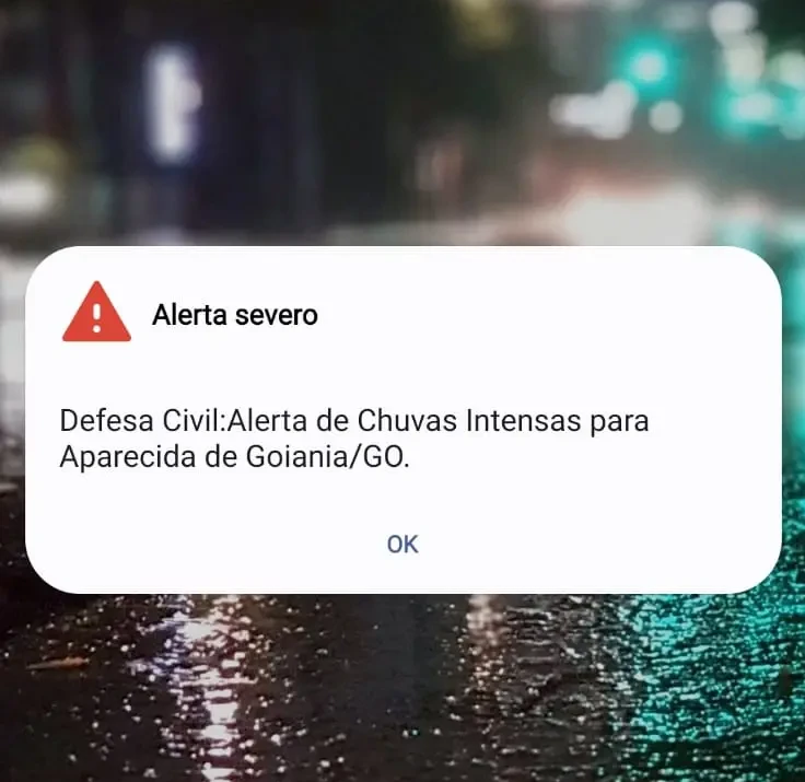 WhatsApp Image 2025-12-31 at 16.32.02 (2)