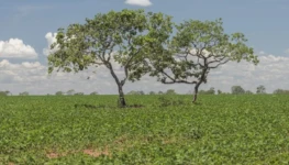 WhatsApp Image 2026-01-05 at 16.38.04