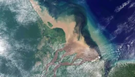 Petrobras-impactos-foz-do-Amazonas-960x540