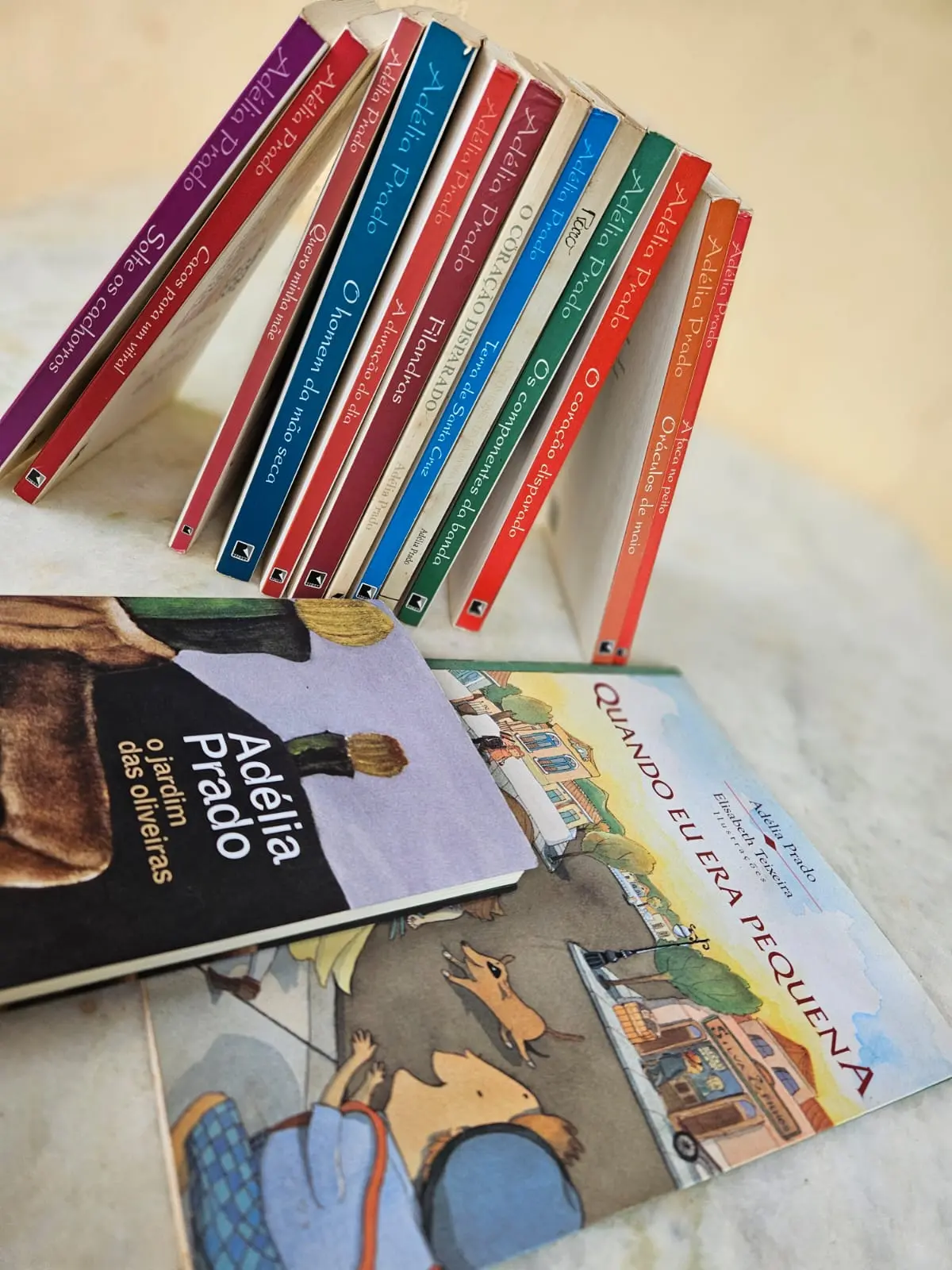 Adelia Prado vários livros Foto Cida Almeida