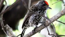 WhatsApp Image 2026-01-07 at 20.06.22