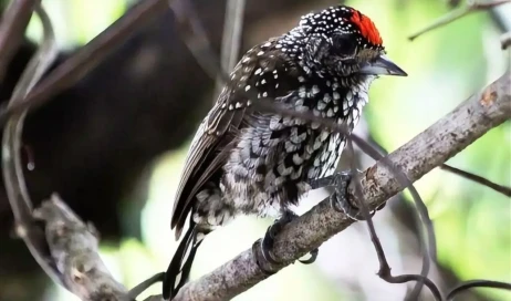 WhatsApp Image 2026-01-07 at 20.06.22