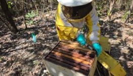 WhatsApp Image 2026-01-08 at 07.03.09