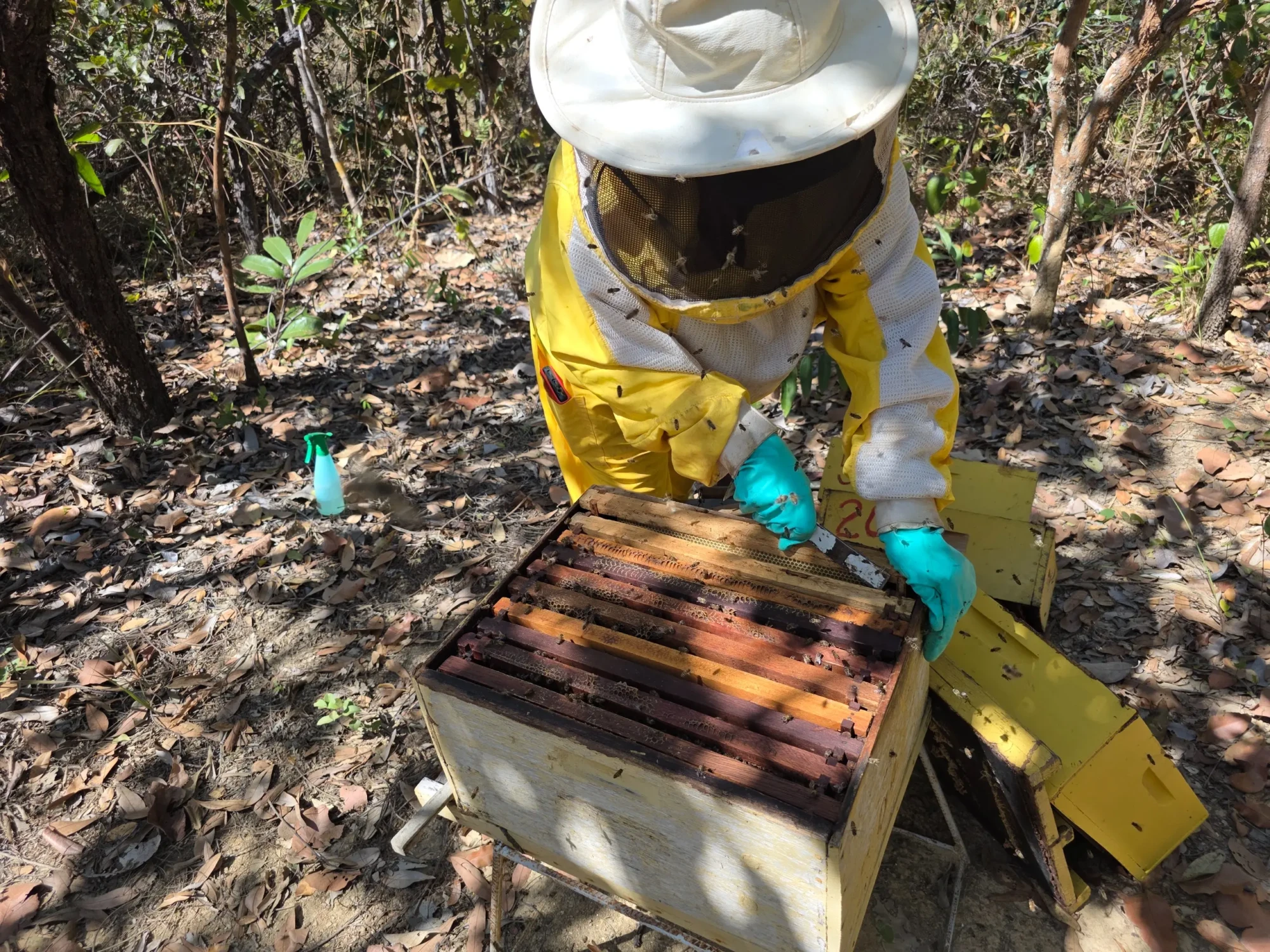 WhatsApp Image 2026-01-08 at 07.03.09