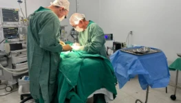 Foto: Divulgação/HEMU