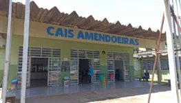 amendoeiras (1)