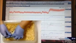 Experimento | Foto: Divulgação/UFG