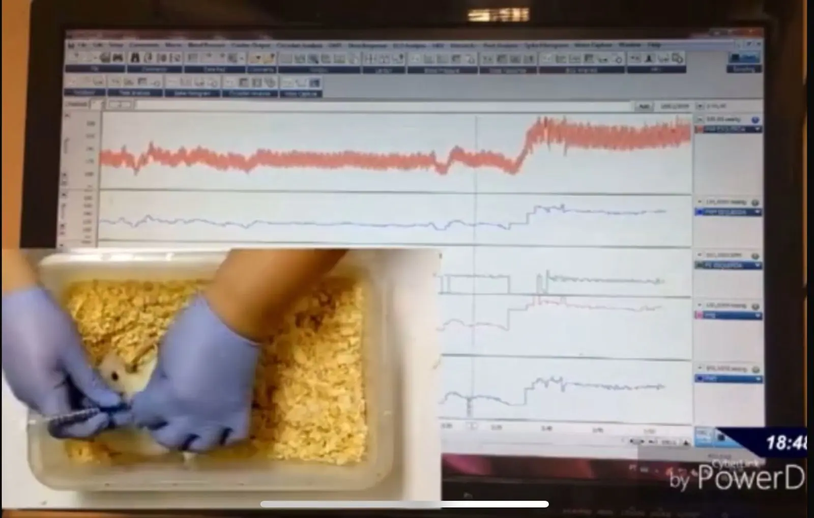 Experimento | Foto: Divulgação/UFG