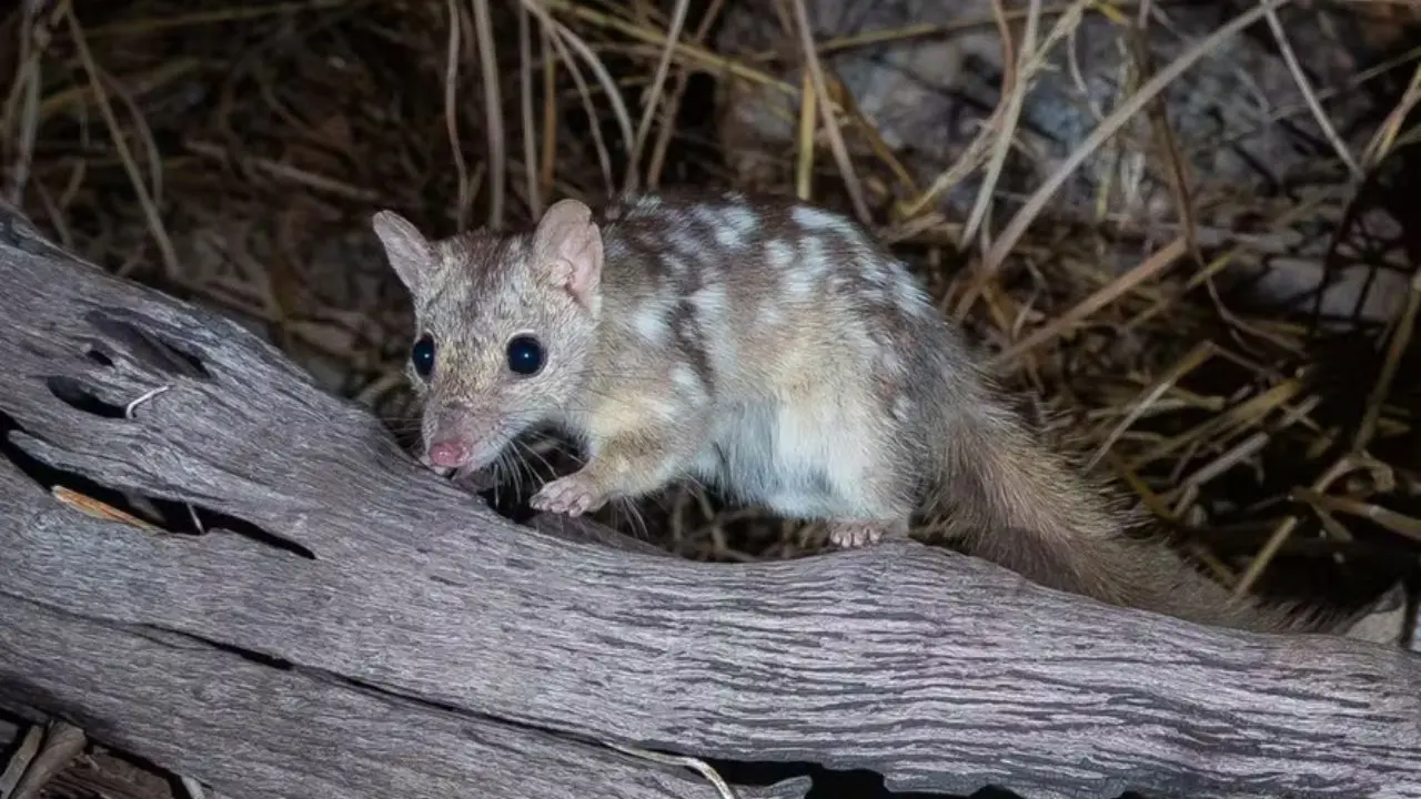 Design-sem-nome-2026-01-09T145100.531