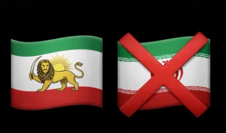 WhatsApp Image 2026-01-10 at 10.12.33