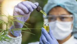 cannabis-medicinal-2b