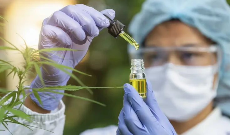 cannabis-medicinal-2b