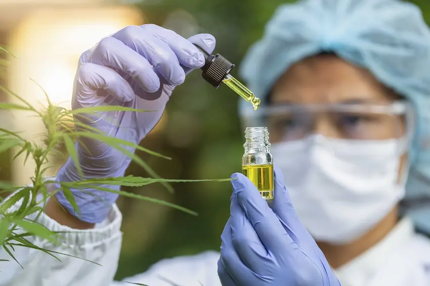 cannabis-medicinal-2b