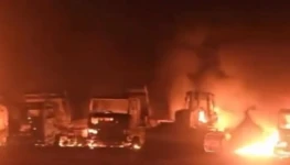 WhatsApp Image 2026-01-13 at 15.19.53