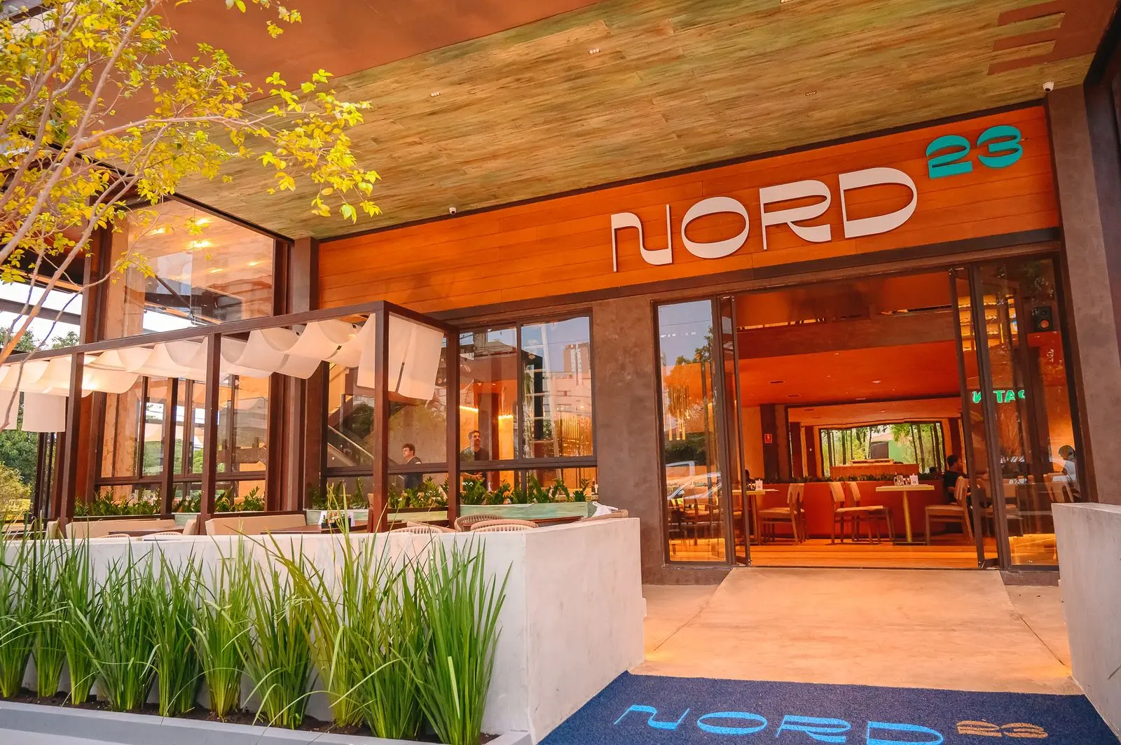 WhatsApp Image 2026-01-15 at 18.06.08