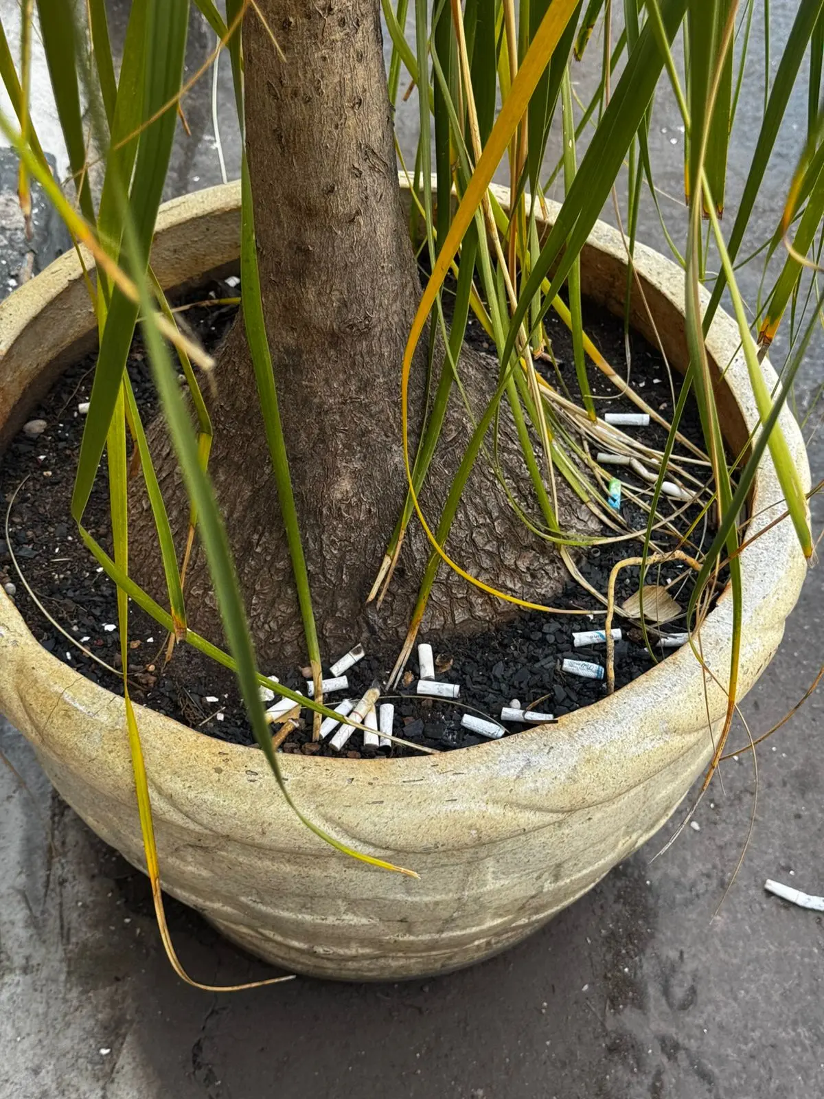 WhatsApp Image 2026-01-16 at 15.13.15 (1)