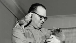 Guimarães Rosa escritor reprodução