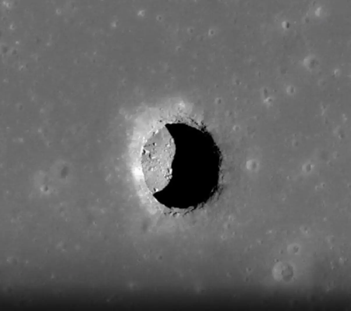 WhatsApp Image 2026-01-16 at 16.41.36