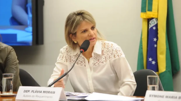 Flávia Morais foto da Câmara dos Deputados 1