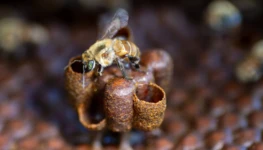 1767820217695ecbb979a30_1767820217_3x2_rt