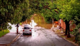 1768939767-rua-anicuns-scaled